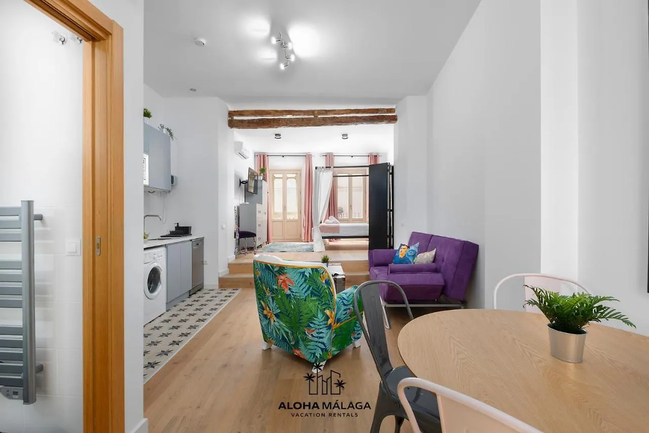 Apartment Can Malaga Apartments, Centro Historico By Alohamalaga Spain