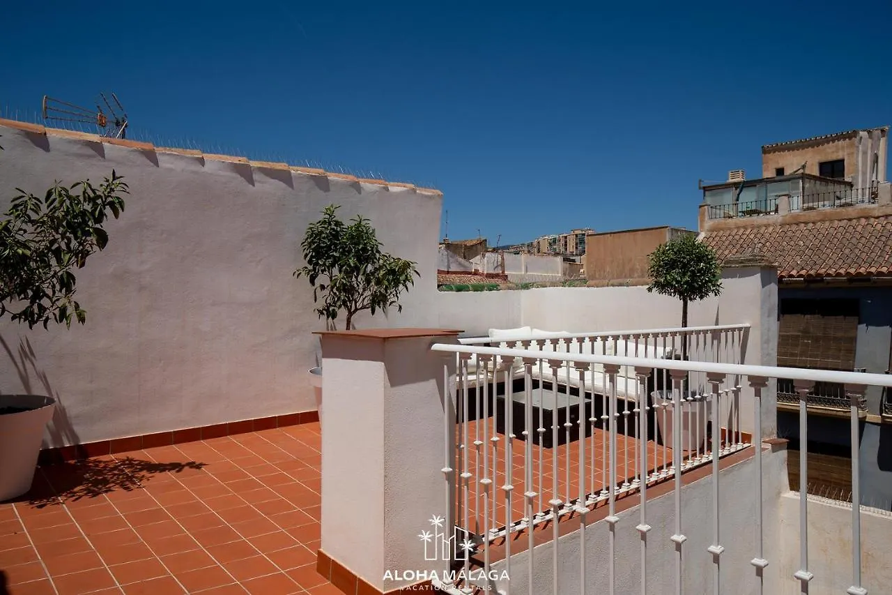 Can Malaga Apartments, Centro Historico By Alohamalaga