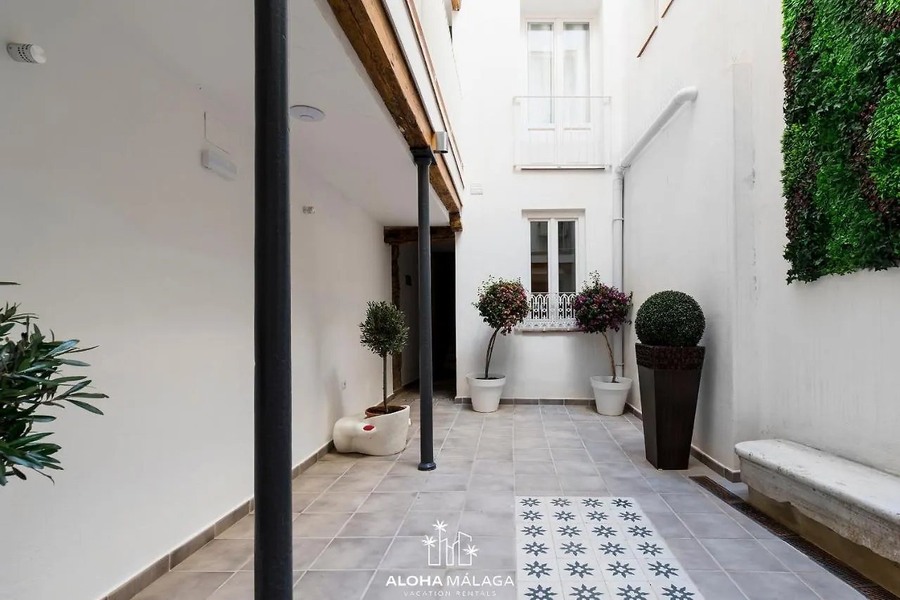 Can Malaga Apartments, Centro Historico By Alohamalaga Spain