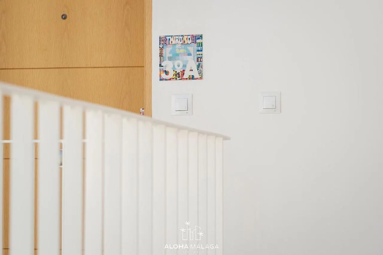 Can Malaga Apartments, Centro Historico By Alohamalaga Spain